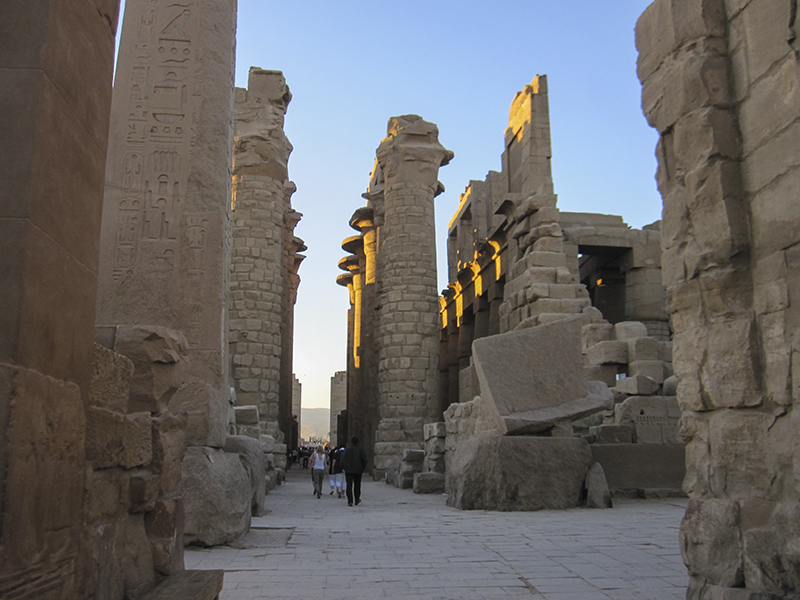 nh_ng-cay-c_t-hinh-s_y-t_i-__n-karnak