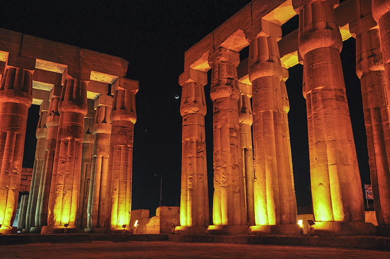 nh_ng-cay-s_y-_a-_-__n-luxor