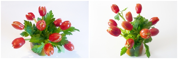 salad-hinh-hoa-tulip-deponline