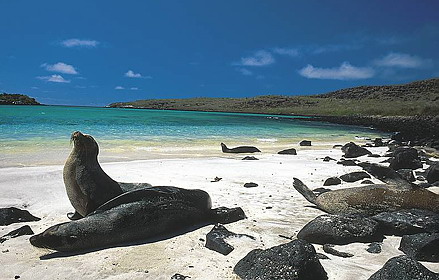 Galapagos-Islands.jpg