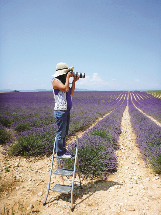 Provence, miền nam nước Pháp, hoa oải hương, du ngoạn