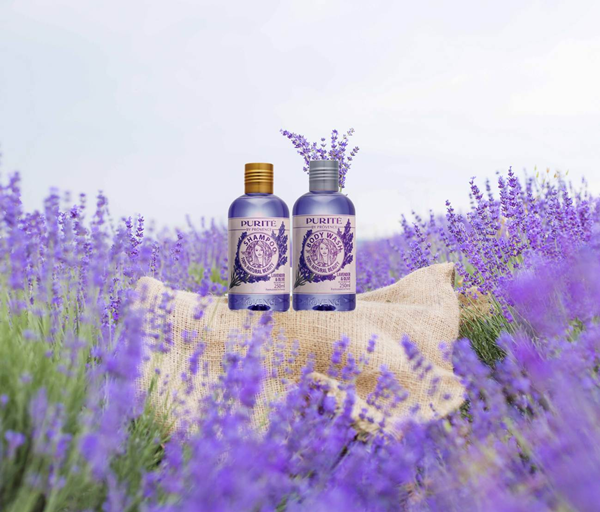 Những cánh đồng hoa Lavender ở Provence