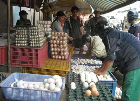 Trứng ung trở thành món ăn thường xuyên của cánh đàn ông xã Tản Lĩnh, Ba Vì, Hà Nội