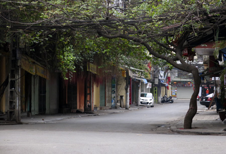 Phố Đào Duy Từ.