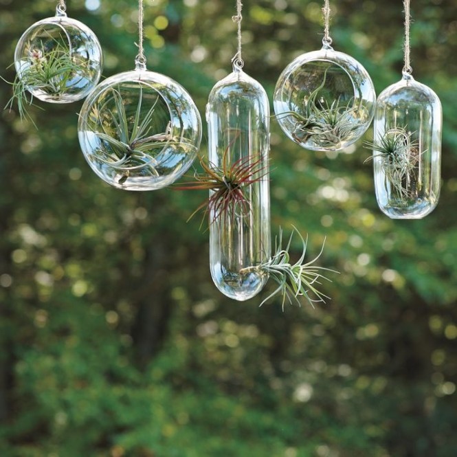 Hanging terrariums are amazing space savers, and we love the way they catch the light too. Try hanging a sequence of different vessels over a desk or dining table, or in front of a window for an extraordinary focal feature.