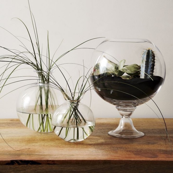 Dinky plant arrangements in shiny glass vessels have a cute sort of magic about them, like part of the earth has been shrunken down especially to fit neatly on your shelf.