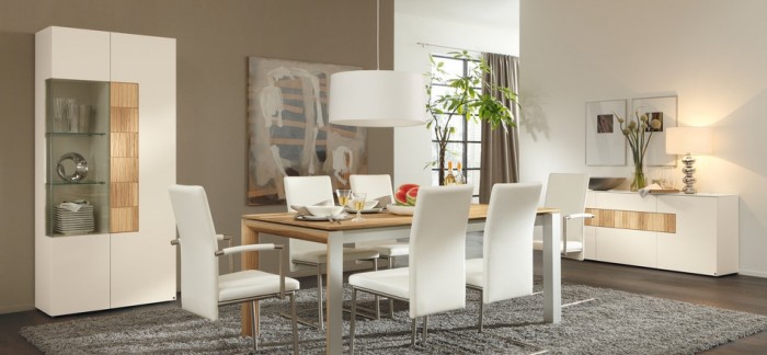 elegant contemporary dining room