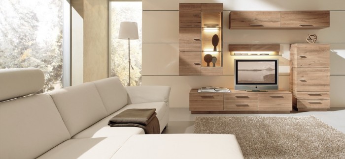 modern living room woods