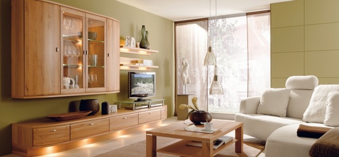 modern sophisticated living room