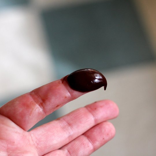 ganache chocolate, làm lớp phủ bánh chocolate