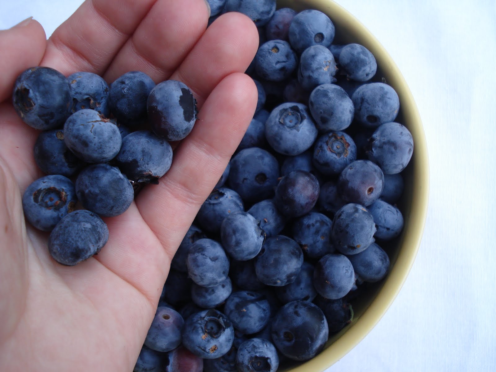 U-B-Blueberry-fruit-1.jpg