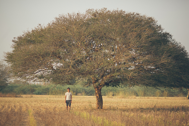 bagan-1-copy