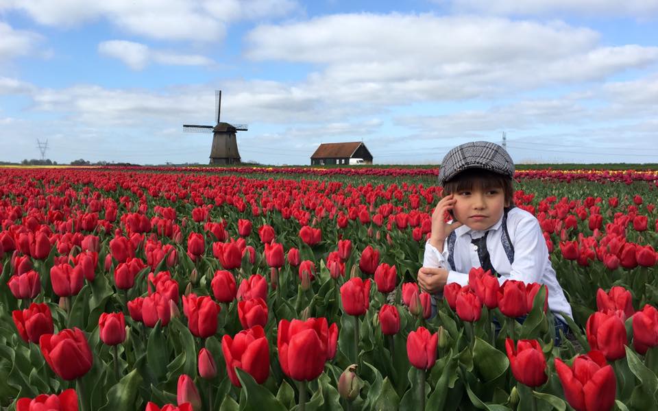 Mùa hoa tulip khoe sắc rực rỡ ở Hà Lan