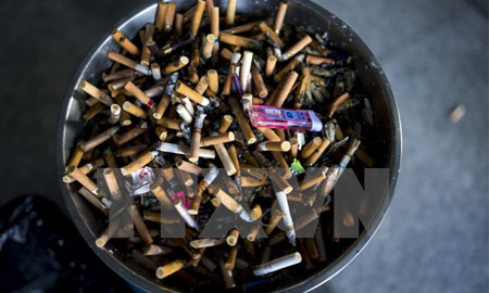 WHO: Mỗi năm thuốc lá giết chết hơn 40.000 người Việt Nam