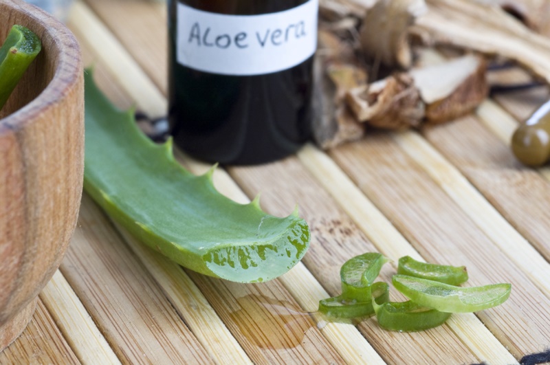 aloe vera