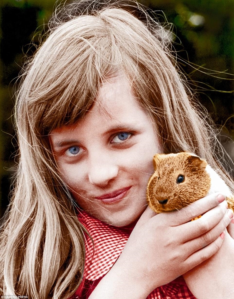 Mẹ của Diana nói rằng cô ấy yêu mọi thứ nhỏ và lông thú và ở đây cô ấy, khoảng mười tuổi, với một con chuột lang