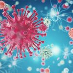 Virus HIV tấn công cơ thể người ra sao?