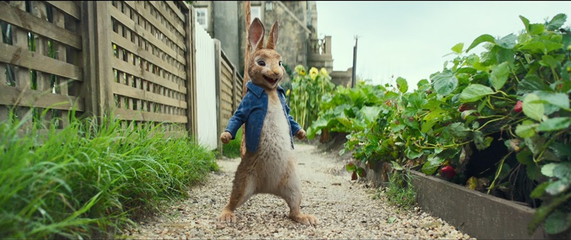 Tạo hình của Peter Rabbit giống hệt nguyên tác