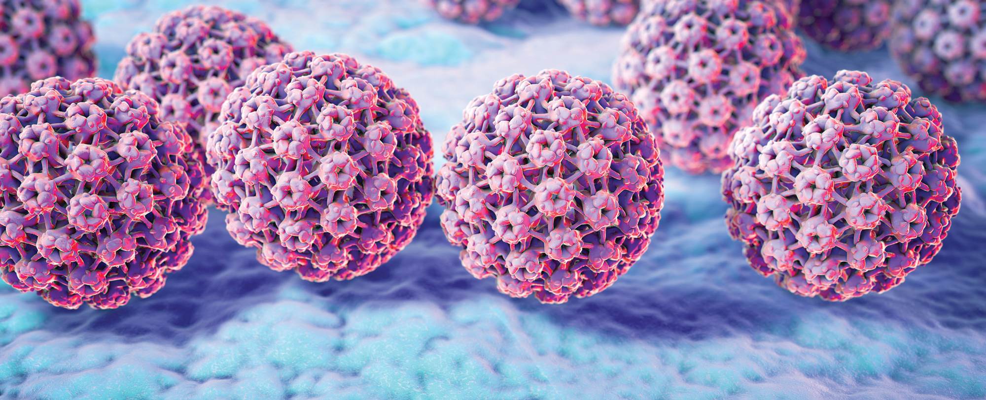 vi-rut-hpv-2
