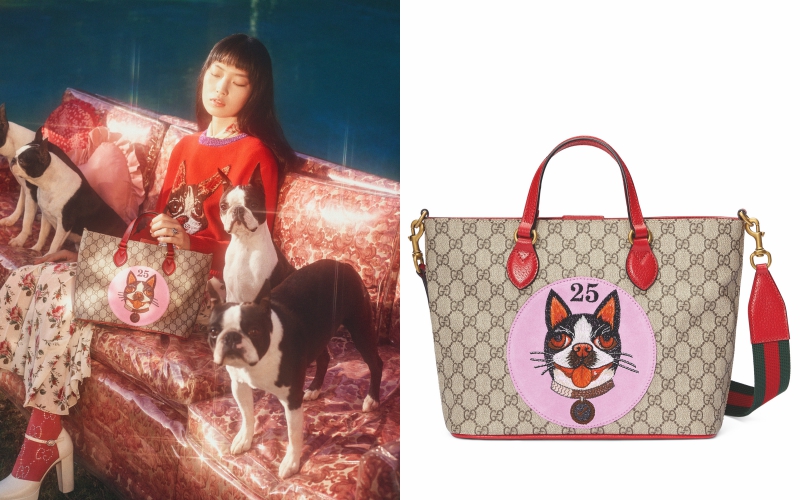 Túi xách Gucci với chất liệu canvas mang logo đặc trưng đi cùng với quai xách, quai đeo vô cùng nổi bật. 