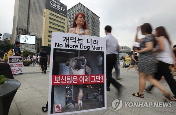 Người Hàn Quốc đang thay đổi dần thói quen ăn thịt chó