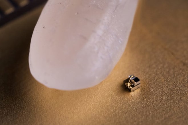 Chế tạo thành công “máy tính” nhỏ nhất thế giới đúng bằng hạt gạo