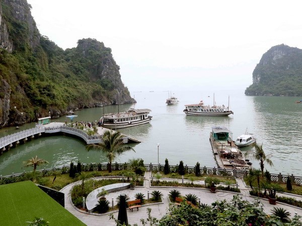 Quảng Ninh: Không có chuyện xẻ núi và bêtông hóa đảo Soi Sim