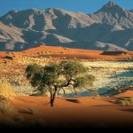Namibia – vẻ đẹp hoang dã của vùng đất “Mad Max: Fury Road”