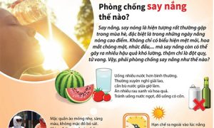 [Infographics] Phòng chống say nắng, say nóng như thế nào?