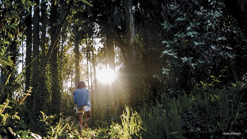 "Tắm rừng" chính là việc hòa mình vào thiên nhiên, môi trường xung quanh. 