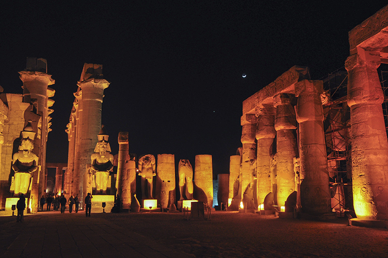 c_n-phong-cay-s_y-c_a-__n-luxor