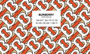 cover burberry