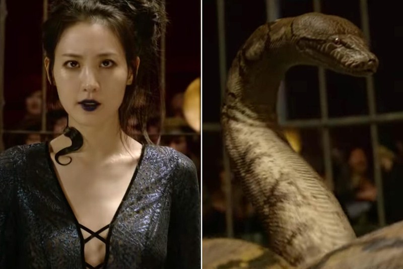 Claudia Kim là một nhân tố bất ngờ được “Fantastic Beasts: The Crimes of Grindelwald” giữ kín cho đến trailer cuối cùng.