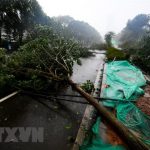 Mưa lớn do bão Mangkhut tiếp tục đe dọa miền Nam Trung Quốc