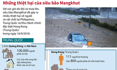 [Infographics] Những thiệt hại nặng nề do siêu bão Mangkhut gây ra