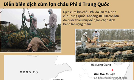 [Infographics] Diễn biến dịch cúm lợn châu Phi ở Trung Quốc