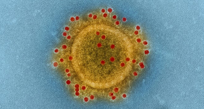 Virus “tử thần” MERS-CoV xuất hiện trở lại tại Hàn Quốc