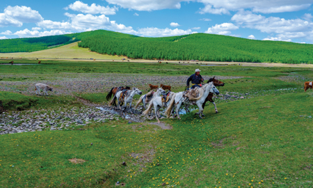 Đi tìm thiên sứ rừng Taiga ở Mông Cổ