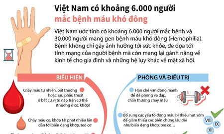 [Infographics] Việt Nam có khoảng 6.000 người mắc bệnh máu khó đông