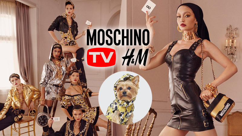 H&M bắt tay Moschino ra mắt BST “sang chảnh” và có cả đồ cho thú cưng