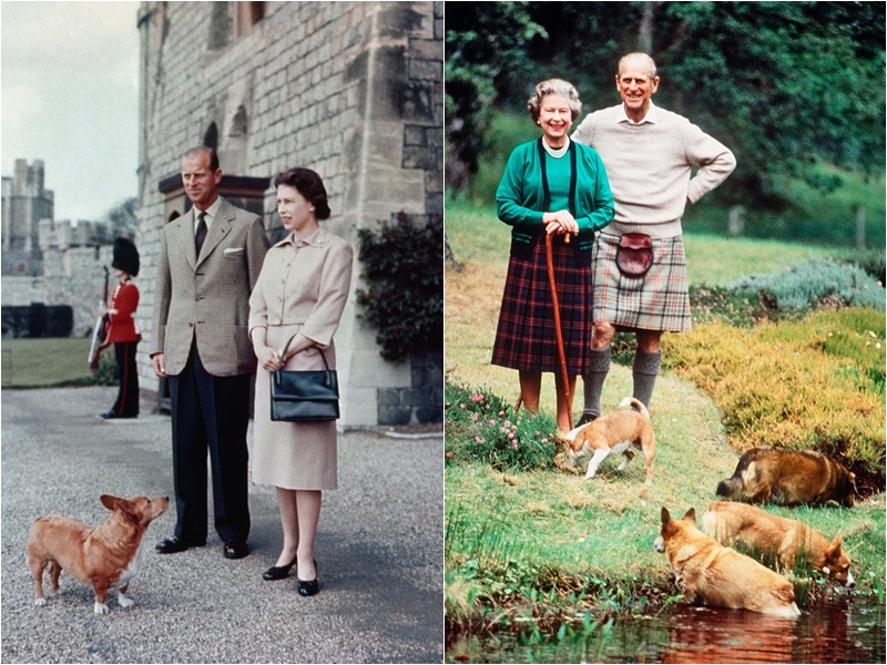 Ðến năm sinh nhật 18 tuổi, cuối cùng bà cũng nhận được con chó cưng đầu tiên của riêng mình và đặt tên cho nó là Susan. Thậm chí, nữ hoàng còn mang theo Susan khi đi hưởng tuần trăng mật với hoàng thân Philip.