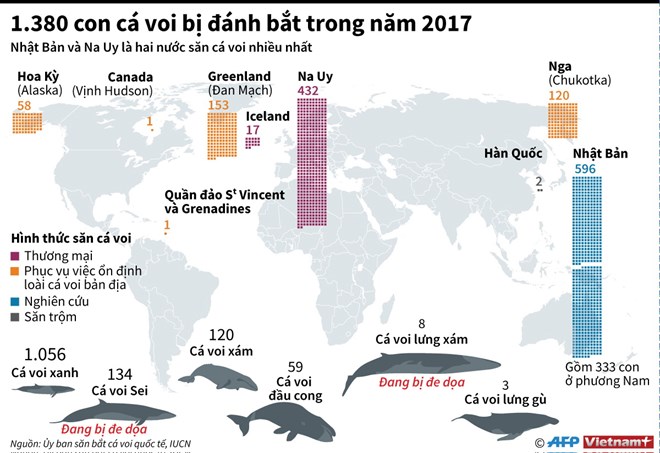 [Infographics] 1.380 con cá voi bị đánh bắt trong năm 2017