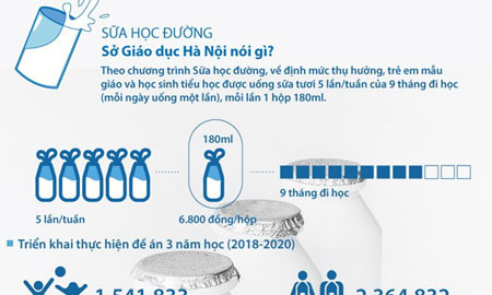 [Infographics] Sở Giáo dục Hà Nội nói gì về Sữa học đường?