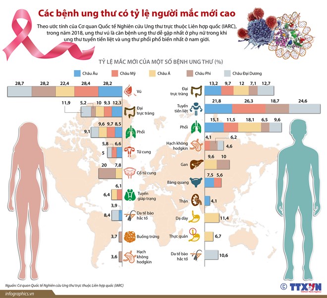 [Infographics] Các bệnh ung thư có tỷ lệ người mắc mới cao
