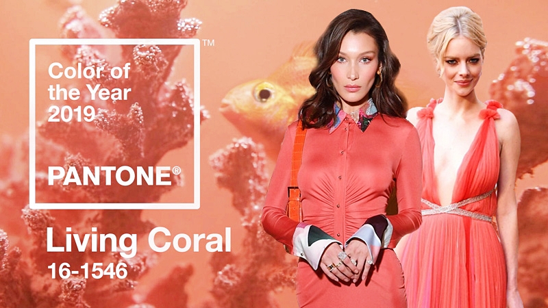 Pantone công bố cam san hô là “Color of The Year”, thống trị năm 2019
