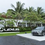 Lexus Việt Nam tổ chức giải đấu golf Lexus Cup 2018