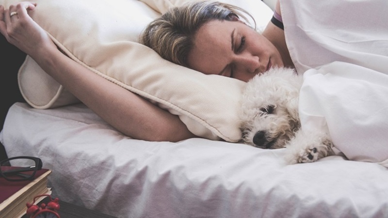 Girl and her dog comfortably sleeping in the bed