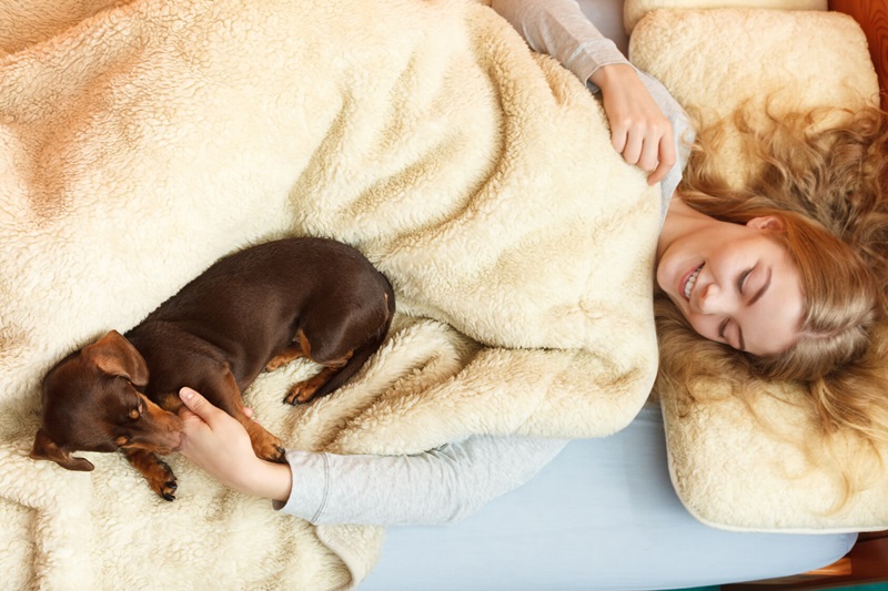 Giải pháp mới dành cho những cô nàng thiếu ngủ: Hãy ôm một chú chó!