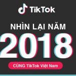 TikTok khởi động chương trình TikTok Trends Việt Nam mang đến góc nhìn chuyên sâu về những xu hướng