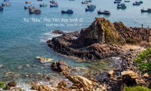 cover phu yen